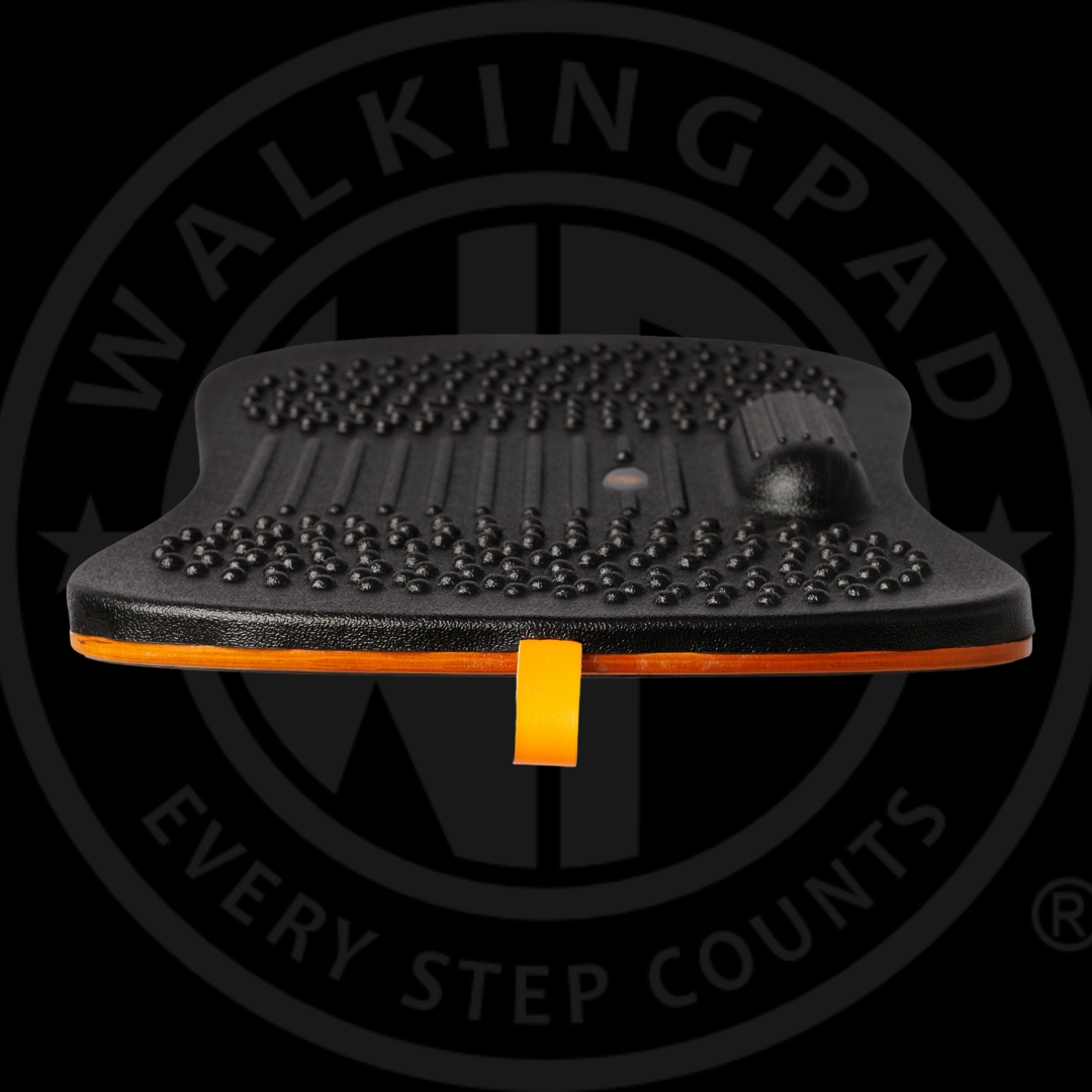 www.walkingpad.co.za