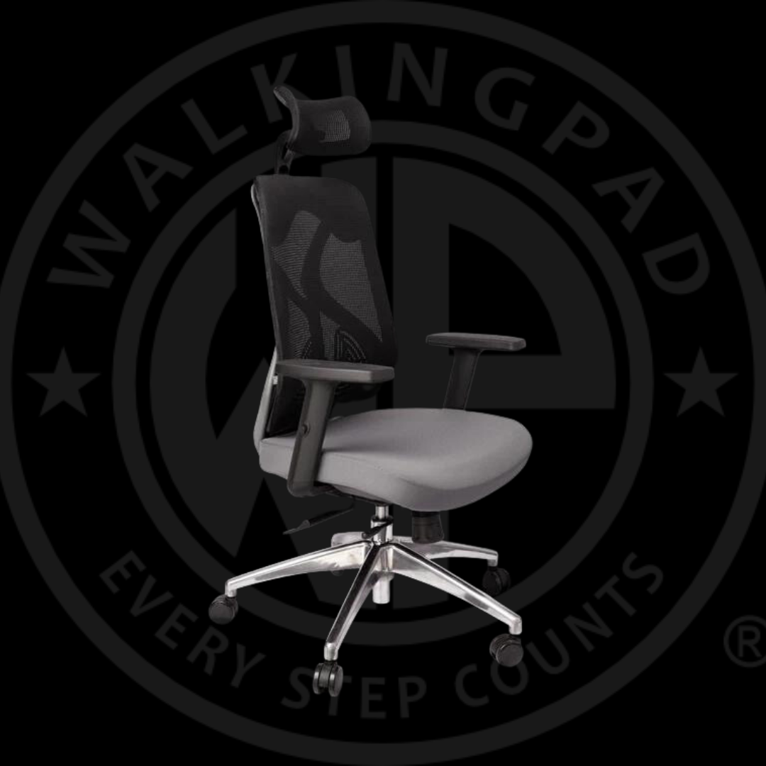 www.walkingpad.co.za