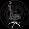 DEMO of Wp Beta Ergonomic Home Office Chair