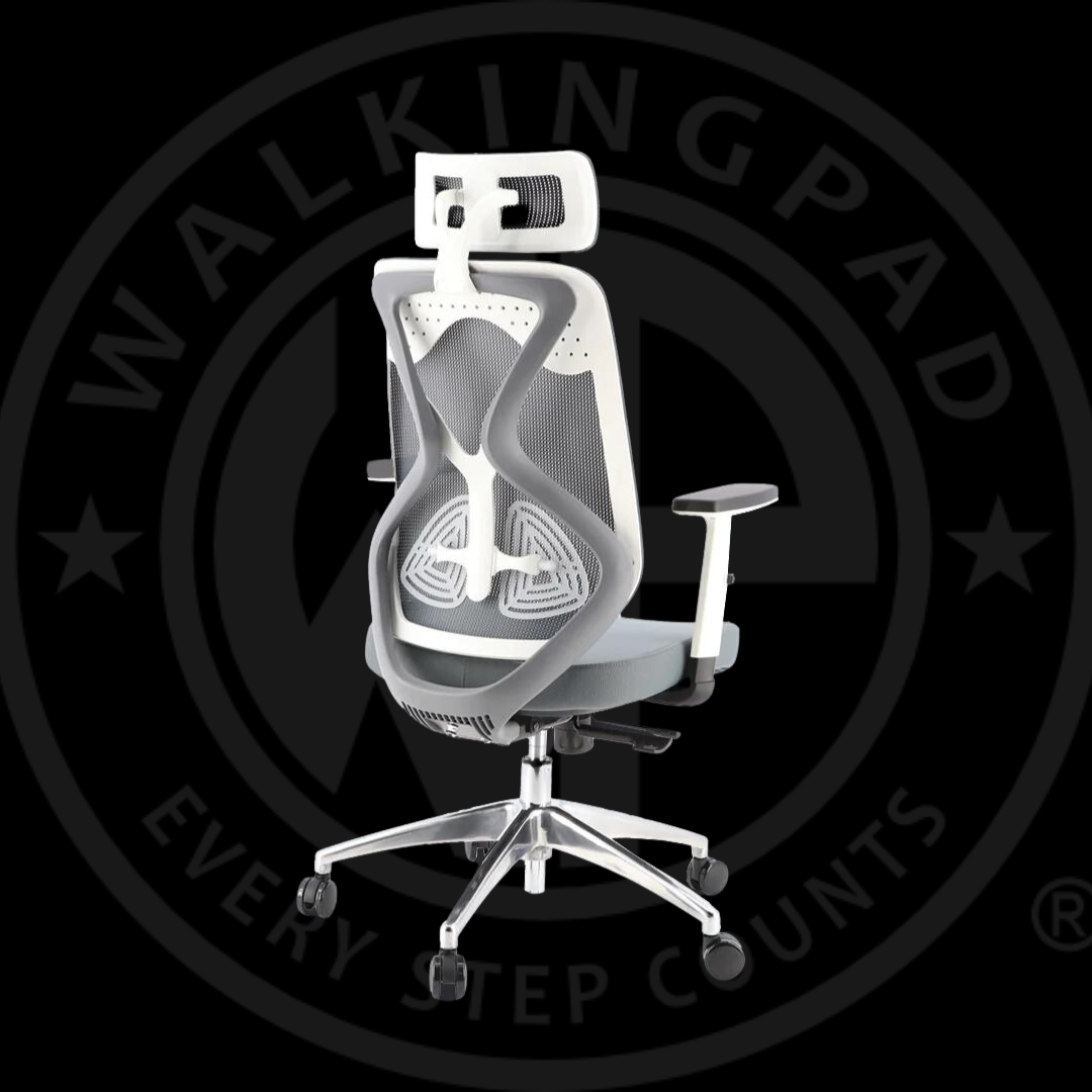 WP Ergonomic Adjustable Office Chair – Walkingpadsa