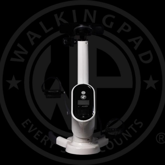 DEMO of WP Pro Bike