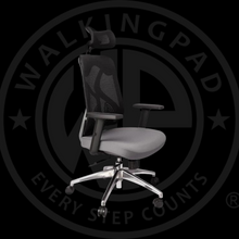  DEMO of Wp Ergonomic Adjustable Office Chair