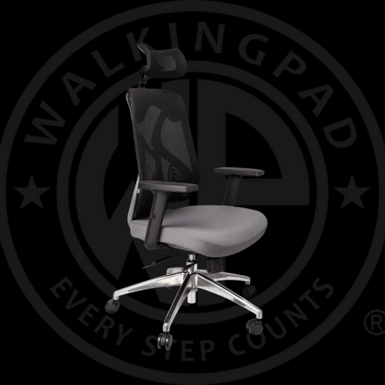 DEMO of Wp Ergonomic Adjustable Office Chair