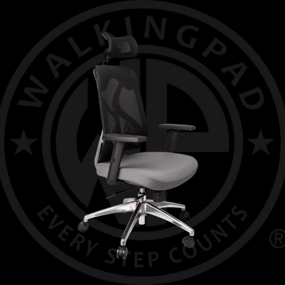 WP Ergonomic Adjustable Office Chair