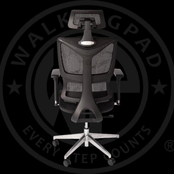 WP Alpha Ergonomic Chair