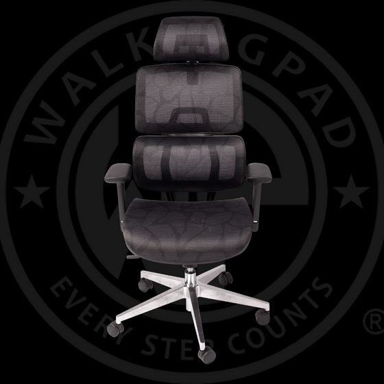 WP Omega Ergonomic Office Chair