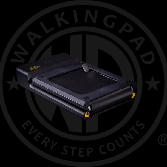 DEMO of WalkingPad A1 Pro