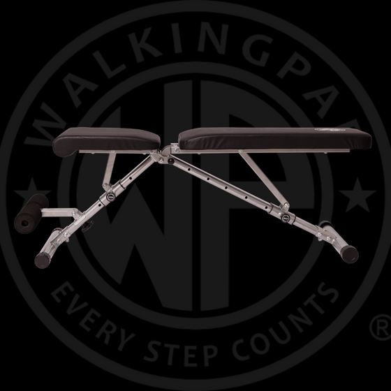 DEMO of WP Pro Weight Adjustable Strength Training Bench with Fast Folding