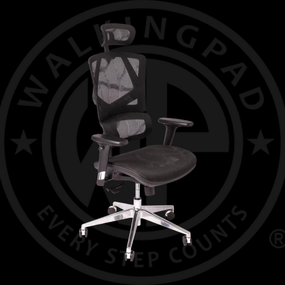 WP Sigma Ergonomic Chair