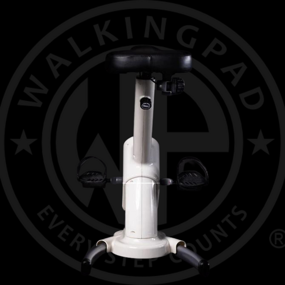 DEMO of WP Pro Bike