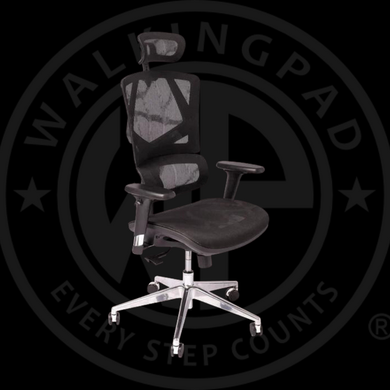 DEMO WP Sigma Ergonomic Chair