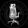 WP Ergonomic Adjustable Office Chair