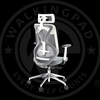 DEMO of Wp Ergonomic Adjustable Office Chair