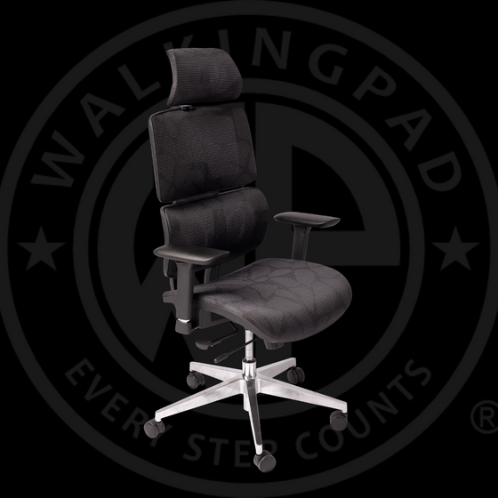 WP Omega Ergonomic Office Chair