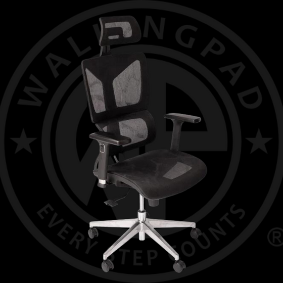 WP Alpha Ergonomic Chair