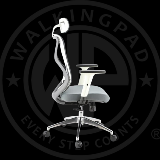 DEMO of Wp Ergonomic Adjustable Office Chair