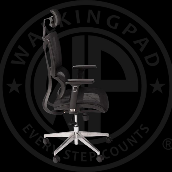 WP Alpha Ergonomic Chair