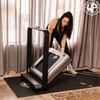 DEMO of WalkingPad X21 Treadmill