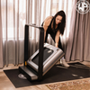 WalkingPad X21 Treadmill