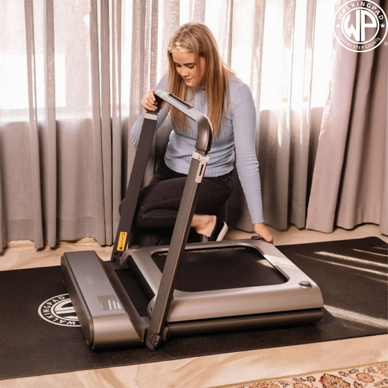 Kingsmith Walkingpad R1 Pro Reviews WalkingPad R1 Pro – Walkingpadsa