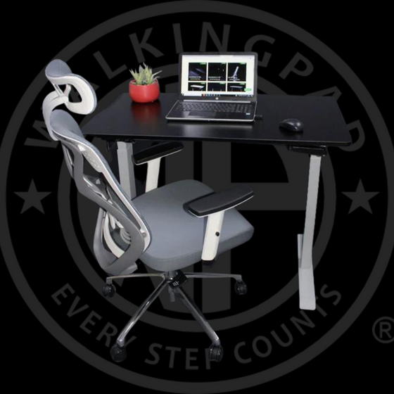 WP Pro Desk & WP Ergonomic Adjustable Office Chair Black