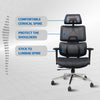 WP Omega Ergonomic Office Chair