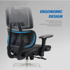 WP Omega Ergonomic Office Chair