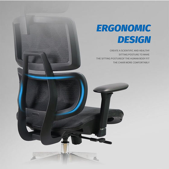 WP Omega Ergonomic Office Chair