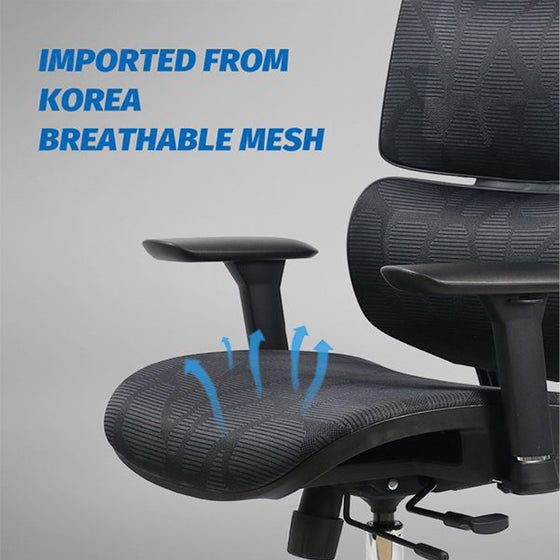 WP Omega Ergonomic Office Chair