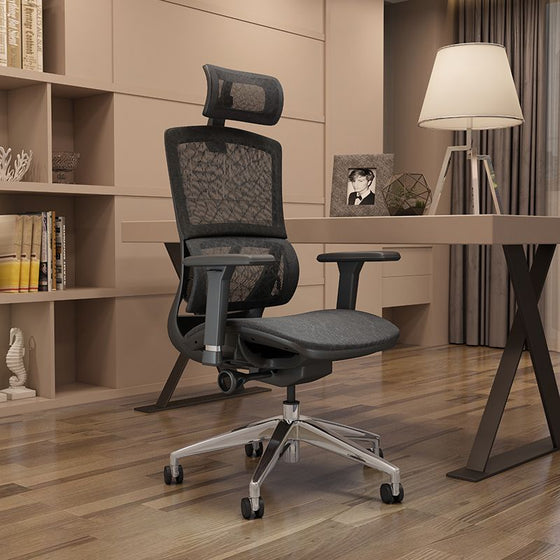 DEMO of Wp Beta Ergonomic Home Office Chair